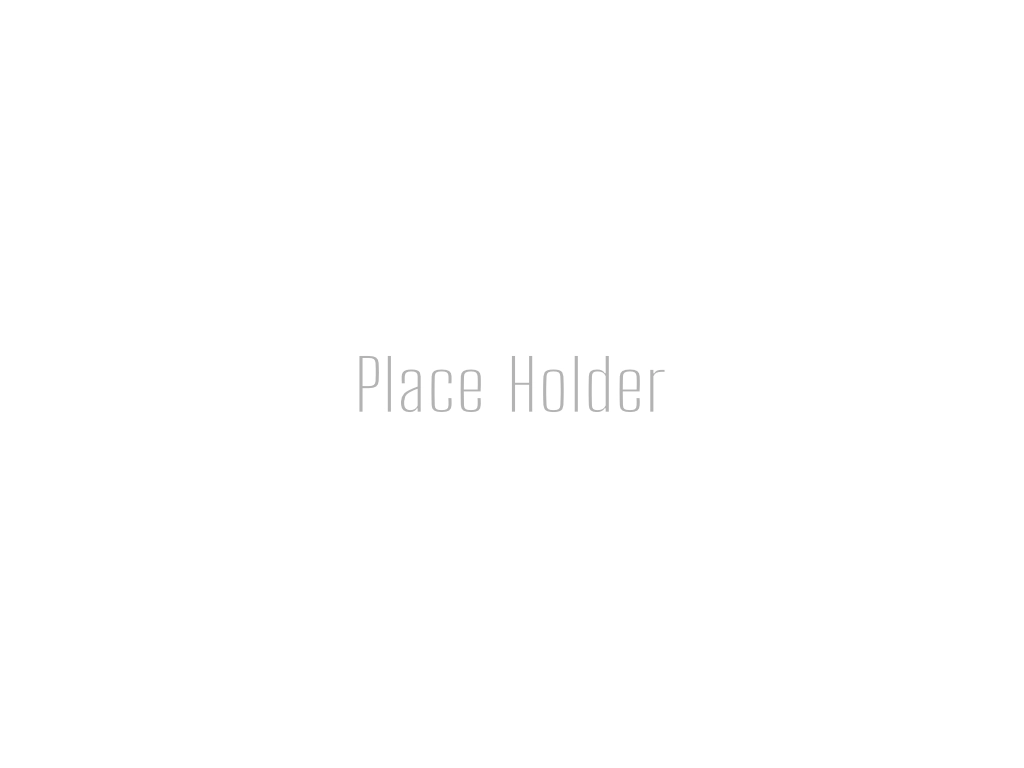 Place holder 1024x768